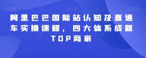 阿里巴巴国际站认知及直通车实操课程，四大体系成就TOP商家-星启会