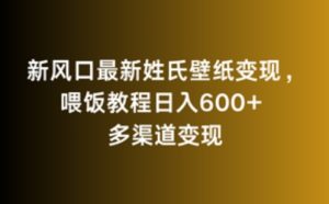 新风口最新姓氏壁纸变现，喂饭教程日入600+【揭秘】-星启会