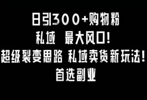 日引300+购物粉，超级裂变思路，私域卖货新玩法，小红书首选副业【揭秘】-星启会