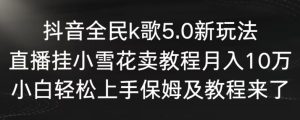 抖音全民k歌5.0新玩法，直播挂小雪花卖教程月入10万，小白轻松上手，保姆及教程来了【揭秘】-星启会