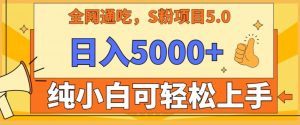男粉项目5.0，最新野路子，纯小白可操作，有手就行，无脑照抄，纯保姆教学【揭秘】-星启会