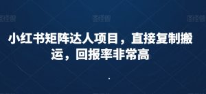 小红书矩阵达人项目，直接复制搬运，回报率非常高-星启会