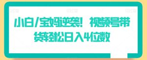 小白/宝妈逆袭！视频号带货轻松日入4位数【揭秘】-星启会