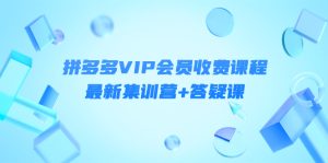 某社群·拼多多VIP会员收费课程，最新集训营+答疑课-价值3299元-星启会
