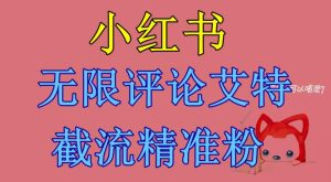 小红书无限评论艾特截流精准粉（软件+教程）-星启会