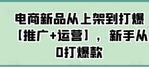 电商新品从上架到打爆【推广+运营】，新手从0打爆款-星启会