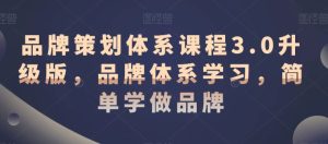 品牌策划体系课程3.0升级版，品牌体系学习，简单学做品牌-星启会