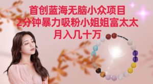 首创蓝海无脑小众项目，2分钟暴力吸粉小姐姐富太太，月入几十万【揭秘】-星启会