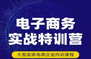 民赛电气内部出品：电子商务实战特训营，全方位带你入门电商，308种方式玩转电商-星启会
