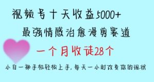 十天收益5000+，多平台捞金，视频号情感治愈漫剪，一个月收徒28个，小白一部手机轻松上手【揭秘】-星启会