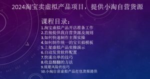 2024淘宝卖虚拟产品项目，提供小淘自营货源-星启会