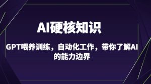 AI硬核知识-GPT喂养训练，自动化工作，带你了解AI的能力边界（10节课）-星启会