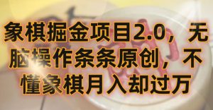 象棋掘金项目2.0，无脑操作条条原创，不懂象棋月入却过万【揭秘】-星启会