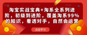 淘宝实战宝典+淘系全系列进阶，初级到进阶，覆盖淘系99%的知识，看透对手，自然会运营-星启会