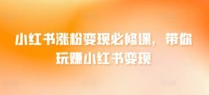 小红书涨粉变现必修课，带你玩赚小红书变现-星启会