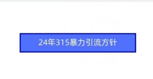 24年315暴力引流方针-星启会