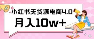 小红书新电商实战，无货源实操从0到1月入10w+联合抖音放大收益【揭秘】-星启会