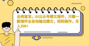 全网首发，AI公众号爆文插件，只需一款插件全自动输出爆文，矩阵操作，月入3W+【揭秘】-星启会