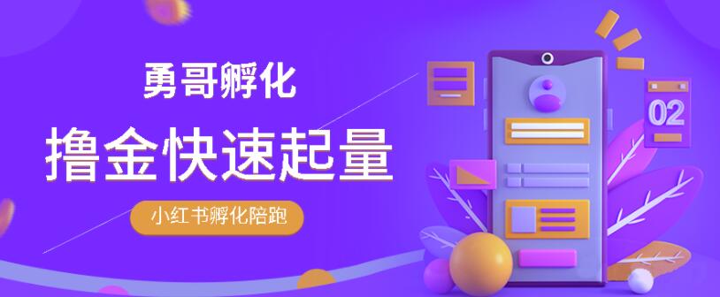 图片[1]-勇哥·小红书撸金快速起量陪跑孵化营，教你在小红书平台实现副业的睡后收入-星启会