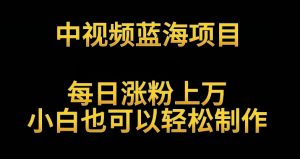 中视频蓝海项目，解读英雄人物生平，每日涨粉上万，小白也可以轻松制作，月入过万不是梦【揭秘】-星启会