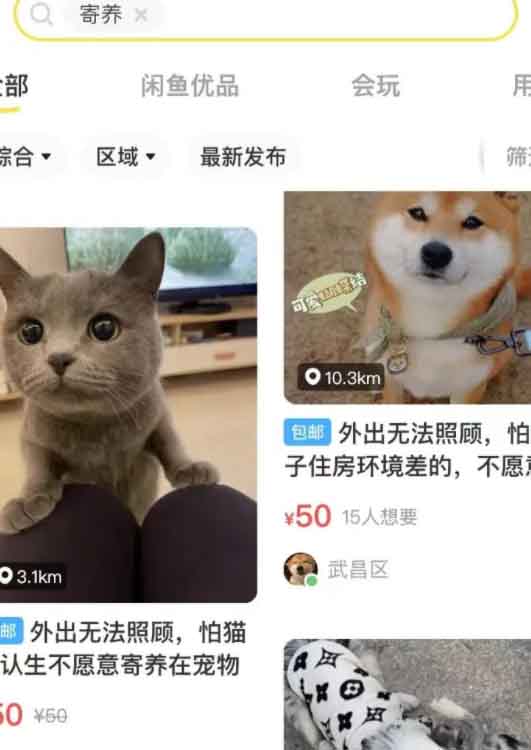 图片[3]-微商对话转账记录截图生成器，微商必备做图软件，直接安装就是会员-星启会