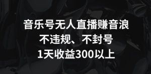 音乐号无人直播赚音浪，不违规、不封号，1天收益300+【揭秘】-星启会