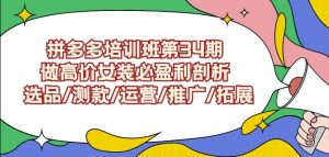 拼多多培训班第34期：做高价女装必盈利剖析选品/测款/运营/推广/拓展-星启会