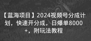 【蓝海项目】2024视频号分成计划，快速开分成，日爆单8000+，附玩法教程-星启会
