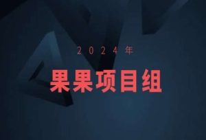 2024年果果项目组项目合集-果果最新项目-星启会