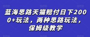 蓝海思路天猫赔付日下2000+玩法，两种思路玩法，保姆级教学【仅揭秘】-星启会