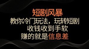 短剧风暴，教你冷门玩法，玩转短剧，收钱收到手软【揭秘】-星启会