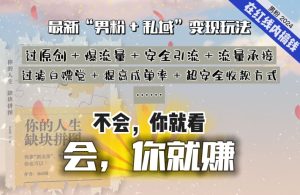 2024，“男粉+私域”还是最耐造、最赚、最轻松、最愉快的变现方式【揭秘】-星启会