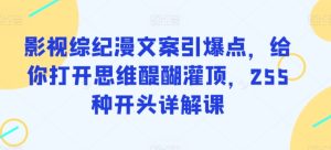 影视综纪漫文案引爆点，给你打开思维醍醐灌顶，255种开头详解课-星启会
