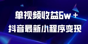 抖音最新小程序变现项目，单视频收益6w＋，小白可做【揭秘】-星启会