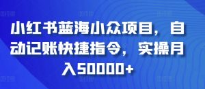 小红书蓝海小众项目，自动记账快捷指令，实操月入50000+【揭秘】-星启会