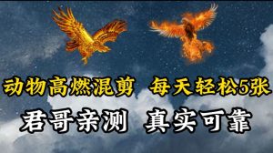 动物超燃混剪，每天轻松5张，剪辑简单大家爱看【揭秘】-星启会