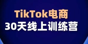 TikTok电商带货30天线上课，不可错过的全球流量洼地！-星启会