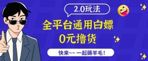 外面收费2980的全平台通用白嫖撸货项目2.0玩法【仅揭秘】-星启会