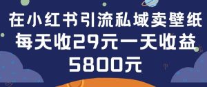 在小红书引流私域卖壁纸每张29元单日最高卖出200张(0-1搭建教程)【揭秘】-星启会