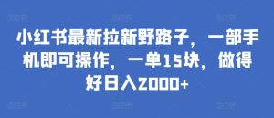 小红书最新拉新野路子，一部手机即可操作，一单15块，做得好日入2000+【揭秘】-星启会