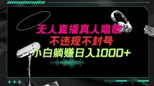 抖音24小时无人直播音乐，不违规，不封号纯撸音浪，小白实操当天日入1000+【揭秘】-星启会