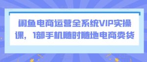 闲鱼电商运营全系统VIP实操课，1部手机随时随地电商卖货-星启会