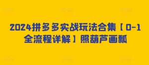 2024拼多多实战玩法合集【0-1全流程详解】照葫芦画瓢-星启会