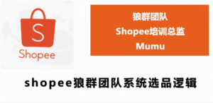 SHOPEE狼群团队：SHOPEE虾皮全套课程（附相关文件）无水印版-星启会
