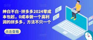 拼多多2024零成本包起，0成本做一个高利润的拼多多，方法不只一个-星启会