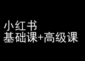 小红书基础课+高级课-小红书运营教程-星启会