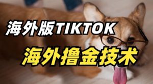 抖音海外版tiktok撸金技术，这个风口行业，赚钱真的不难【揭秘】-星启会