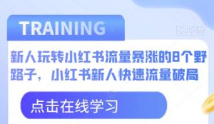 新人玩转小红书流量暴涨的8个野路子，小红书新人快速流量破局-星启会