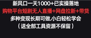 新风口一天1000+已实操落地购物平台短剧无人直播+网盘拉新+带货多种变现长期可做【揭秘】-星启会