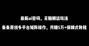 最新ai流量密码，傻瓜式搬运玩法，条条原创，多平台矩阵操作，月赚5万+保姆式教程【揭秘】-星启会
